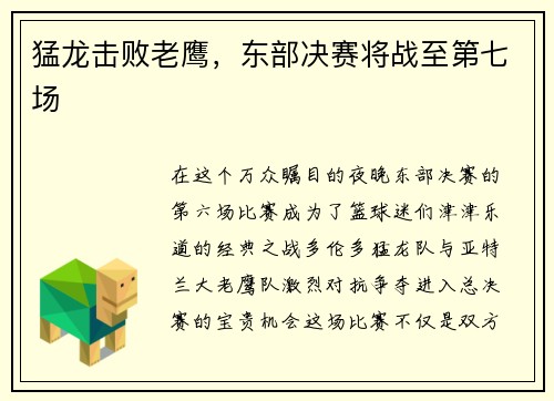 猛龙击败老鹰，东部决赛将战至第七场