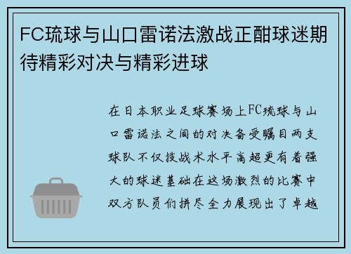 FC琉球与山口雷诺法激战正酣球迷期待精彩对决与精彩进球